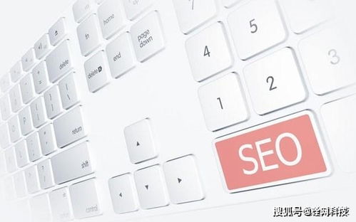 杭州詮網科技解析白帽優化技術穩定嗎